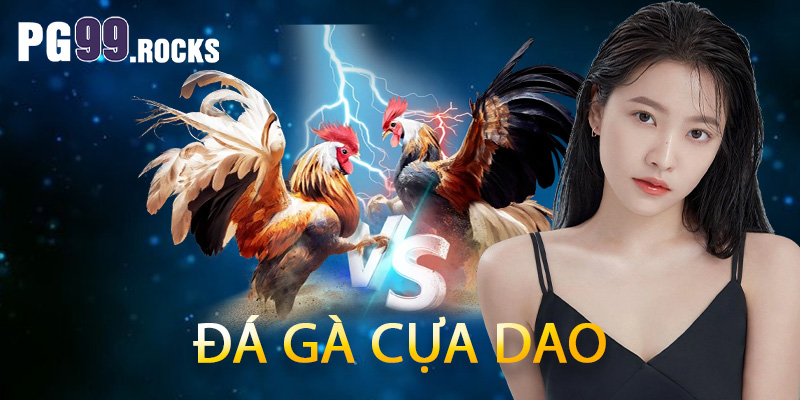 Đá gà cựa dao